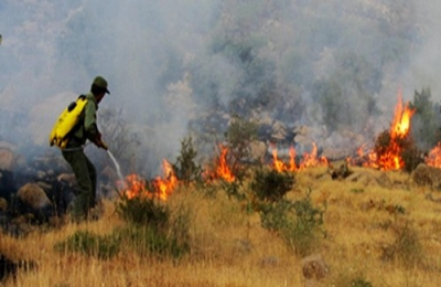 بەشێکی بەرچاو لەژینگە و سروشتی 